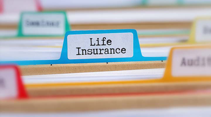 Life Insurance  The Motley Fool